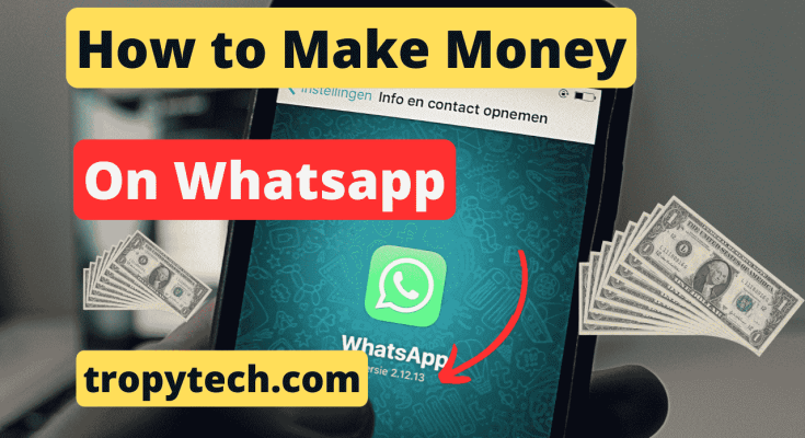 Make Money on Whatsapp