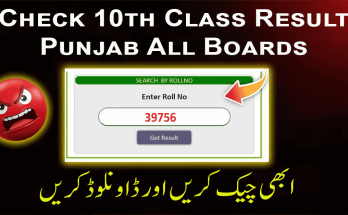 10th class result 2025 punjab all boards